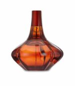 عطر كالفن كلاين سيكرت اوبسشن أو دو برفيوم للنساء 100 مل