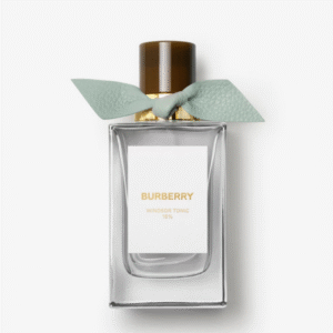 عطر بربري سيجنتشر ويندسور تونيك أو دو بارفان 100 مل