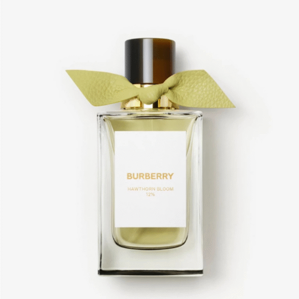 عطر بربري سيجنتشر هوثورن بلوم أو دي بارفان 100 مل