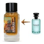 عطر زودياك هافانا للرجال  - 100 مل