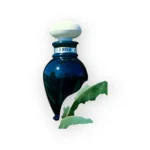 عطر أو بوتيكاريو إيروس للرجال 100 مل