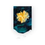 عطر زارا لايم تياري للنساء