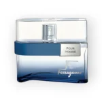 عطر سلفاتوري فيراغامو إف باي فيراغامو فري تايم للرجال 100 مل