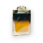 عطر سلفاتوري فيراغامو فيراغامو عود للرجال 100 مل