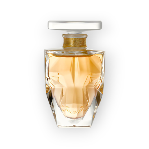 حديقة العطور https://perfumgardeen.com/wp-content/uploads/2026/06/تصميم-بدون-عنوان_20260621_034903_٠٠٠٠.png