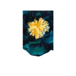 عطر زارا لايم تياري للنساء