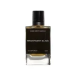 عطر زارا مينز كوليكشن 2023 ماجنيفيسنت بلاك للرجال