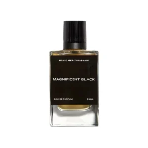 عطر زارا مينز كوليكشن 2023 ماجنيفيسنت بلاك للرجال