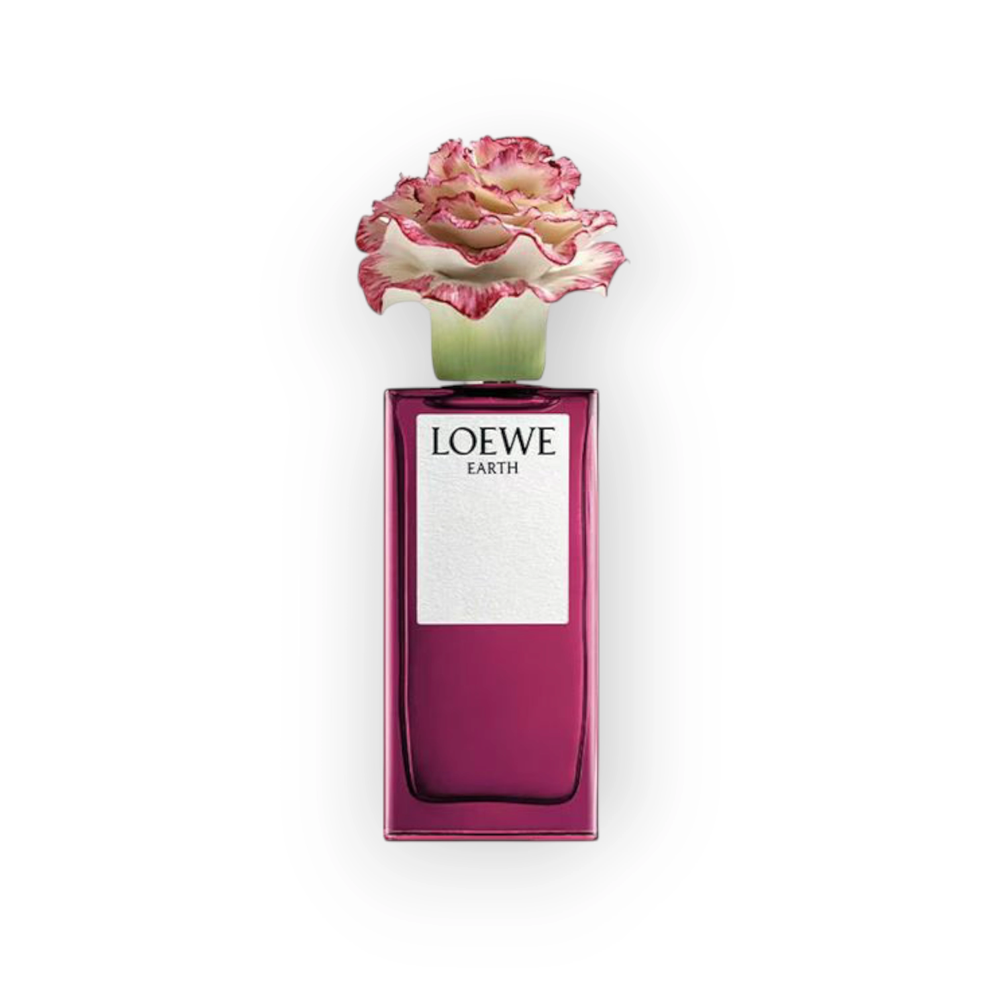 حديقة العطور - عطر لوي إيرث إكس يادرُو للجنسين 100 مل عطر لوي إيرث إكس يادرُو للجنسين 100 مل