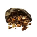الإبرة الراعية
