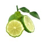 البرغموت